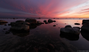 Mängides loojanguga. Loojang luigega