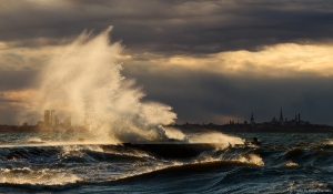 Kilukarp ja väike laine. Tallinn