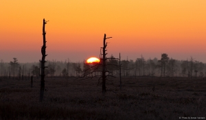 Üks varajane hommik