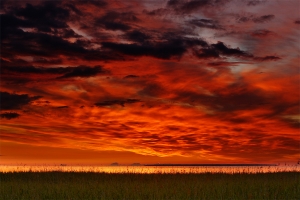 Tavaline loojang Stromkal